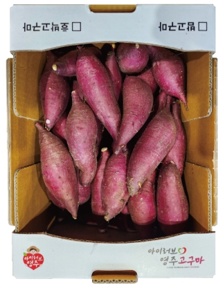 하프 10km기념품